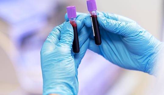 American Society of Blood and Marrow Transplantation
